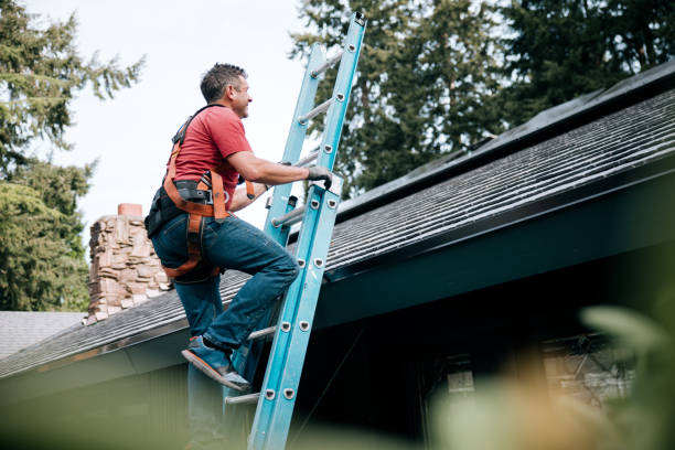 Best Roof Maintenance and Cleaning  in Navassa, NC